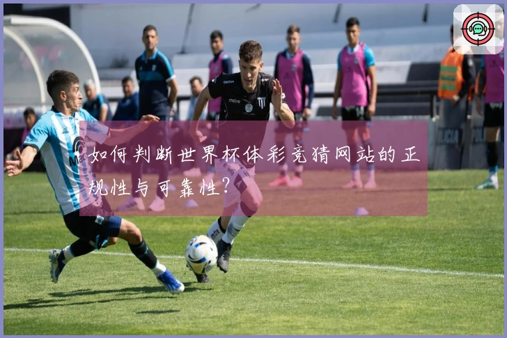 如何判断世界杯体彩竞猜网站的正规性与可靠性？