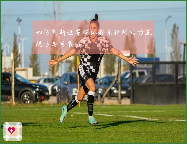 如何判断世界杯体彩竞猜网站的正规性与可靠性？