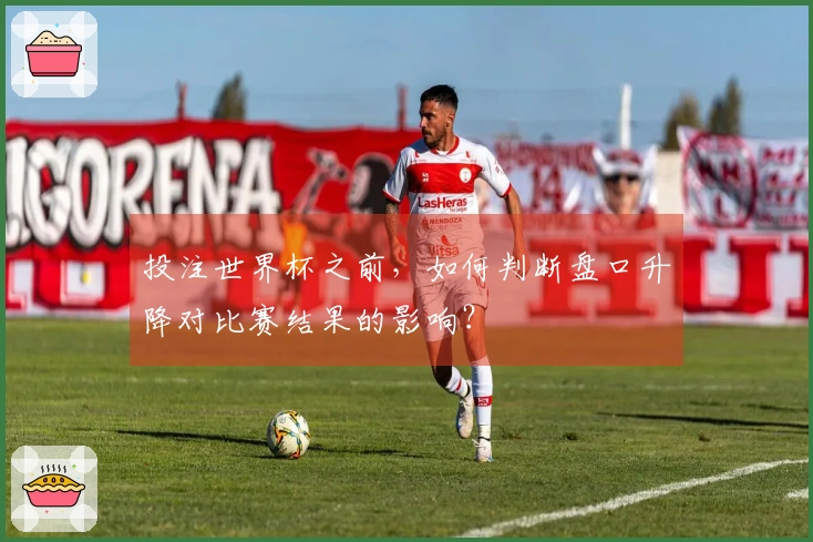 投注世界杯之前，如何判断盘口升降对比赛结果的影响？