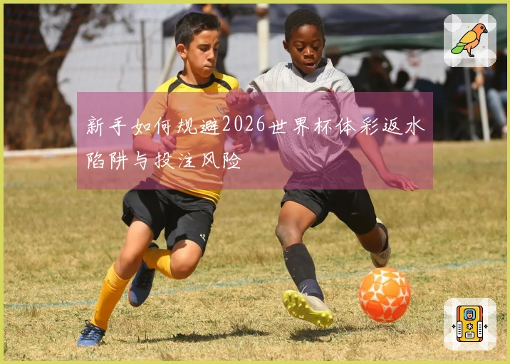 新手如何规避2026世界杯体彩返水陷阱与投注风险