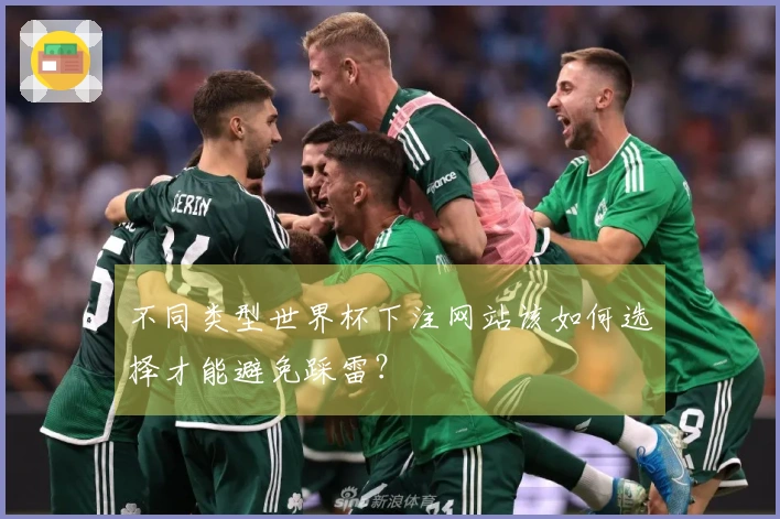 不同类型世界杯下注网站该如何选择才能避免踩雷？